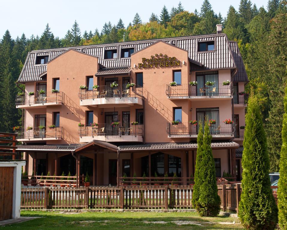 Pension Pantheon Пояна-Брашов Екстер'єр фото